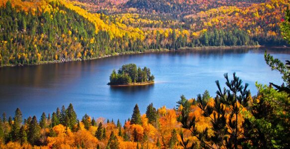 Trois Distilleries de la Mauricie à Ne Pas Manquer